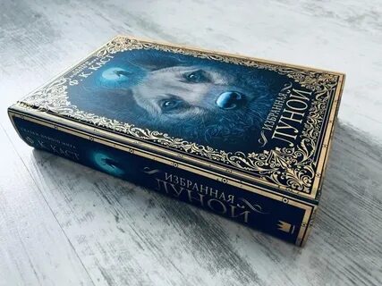 Книга избранная