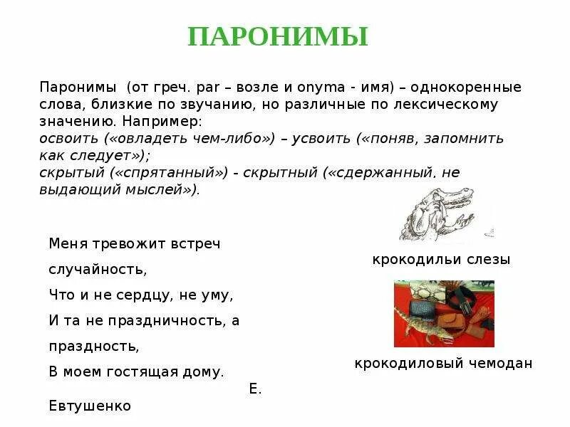 Берег пароним. Паронимы. Стихи с паронимами. Паронимы примеры с объяснением. Паронимы стишок.