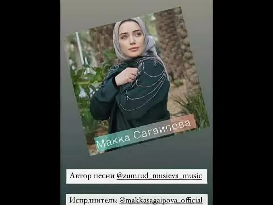 Макка Сагаипова. Украду тебя я макка Сагаипова. Макка Сагаипова украду тебя я текст. Мой Лев макка Сагаипова.