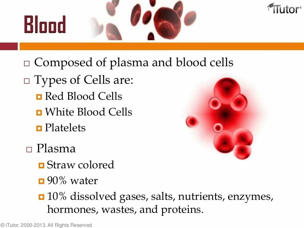Blood Cells Types. Red Blood Cell structure. Red Blood Cells and White Blood Cells. The function of White Blood Cells.
