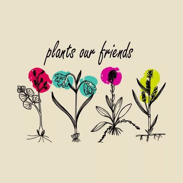 Plants and friends. Plants are friends. Cute растения. Plants and friends Сочи.