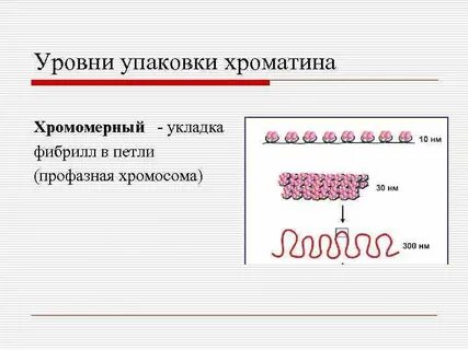Уровни упаковки