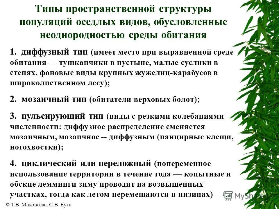 Пространственная структура популяции примеры. Типы пространственной структуры популяций. Пространственная структура популяции примеры. Пространственная структура популяции схема. Структура популяции случайное распределение.
