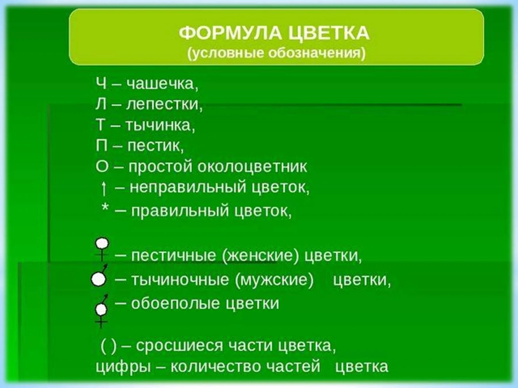 Ч5л5т5п1 формула какого класса. Формула цветка обозначения. Формула цветка условные обозначения. Формулы цветков обозначения. Символы формулы цветка.