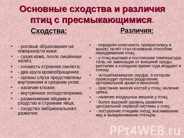 Сходства и отличия млекопитающих и пресмыкающихся. Сходства и отличия млекопитающих и пресмыкающихся