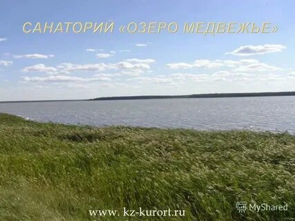 Новый путь и медвежье