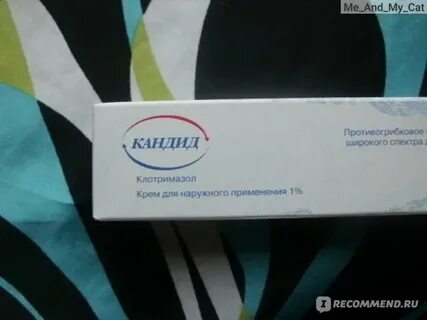 Кандид человек
