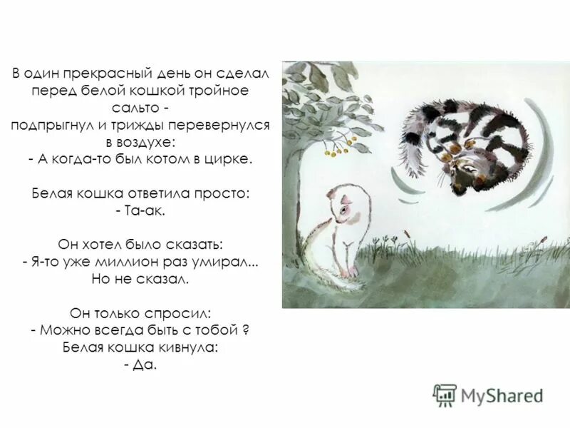 два маленьких котенка песня текст