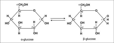 Glucose