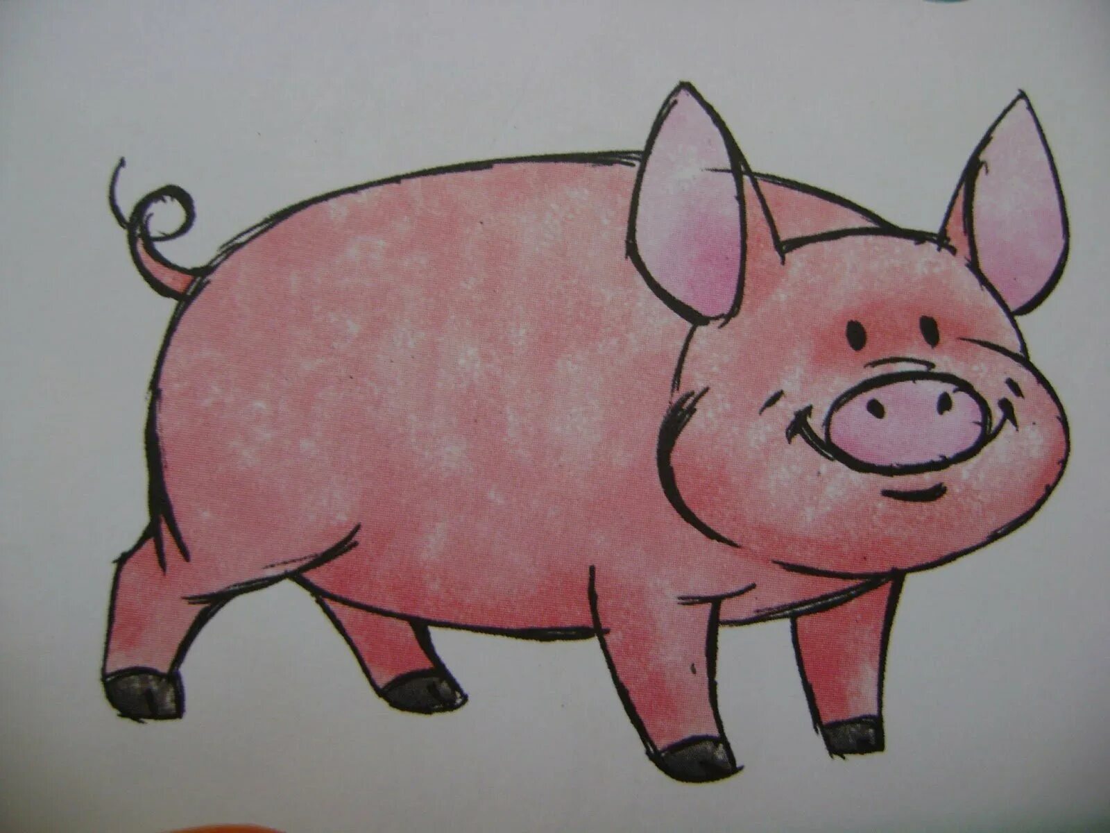 Просто свинка. Нарисовать свинью. Рисование для детей поросенок. Свинья карандашом. Как нарисовать свинью.