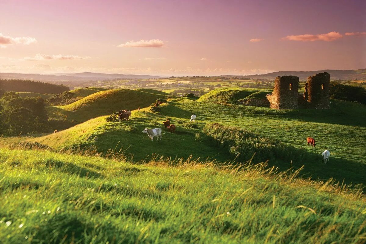 Хороша холм. Green Hills зеленые холмы Ирландии. Центральная низменность Ирландия. Холмы и Луга Ирландии. Зеленеющие Луга Ирландии.