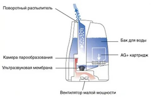 Принцип увлажнителя воздуха