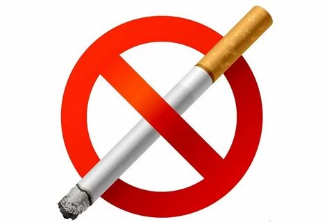 Үйде жасалған скрипт