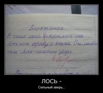 Анекдот про вежливого лося добрый вечер