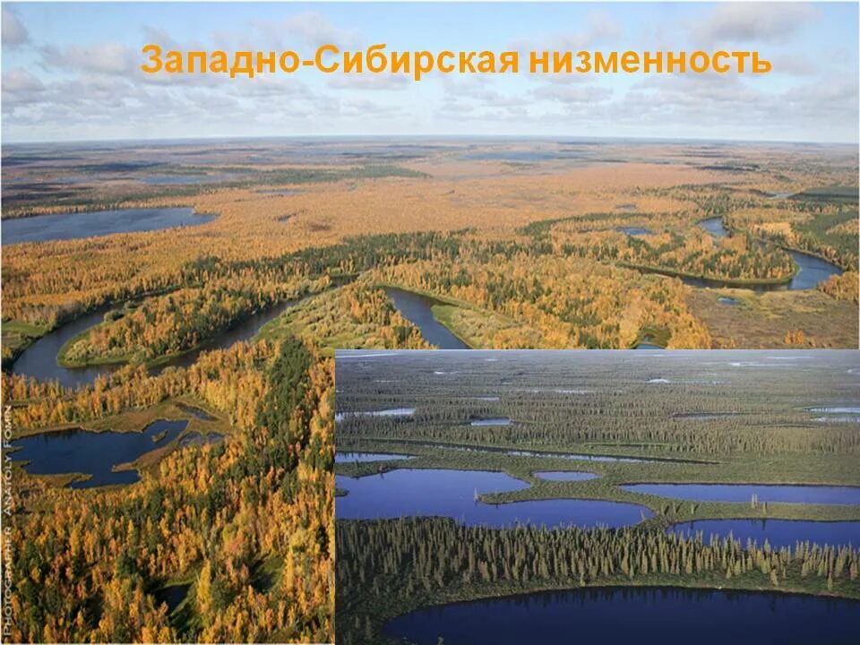 Западно сиб