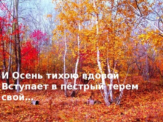 Тихою вдовой. И осень тихою вдовой вступает в пёстрый Терем свой. Осень вступает в пестрый Терем. Осень тихою вдовой.