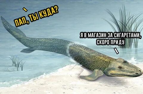 А ну назад