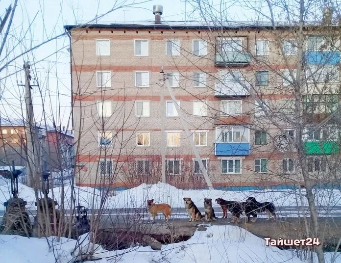 Незаконное получение субсидий. Министр молодежной политики иркутской области. Стасюлевич ольга константиновна. Субсидии иркутская область. Субсидии иркутская область.