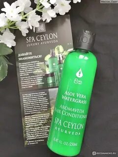 Alga spa отзывы