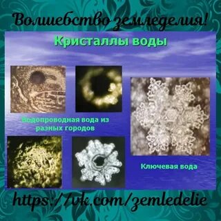 Живая вода кристалл