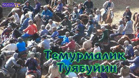 Погода в темурмалик на 10 дней