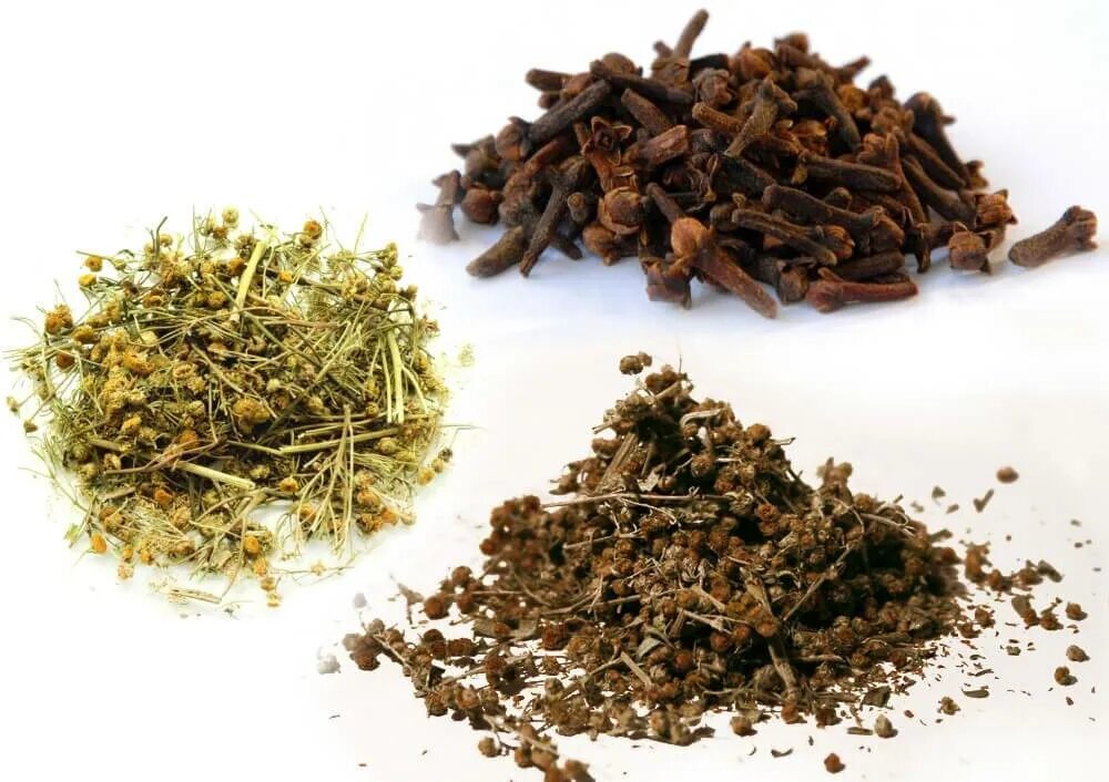 Пижма полынь гвоздика. Полынь и гвоздика от паразитов. Травы от паразитов полынь пижма гвоздика. Пижма полынь гвоздика антипаразитарка. Тысячелистник пижма полынь.