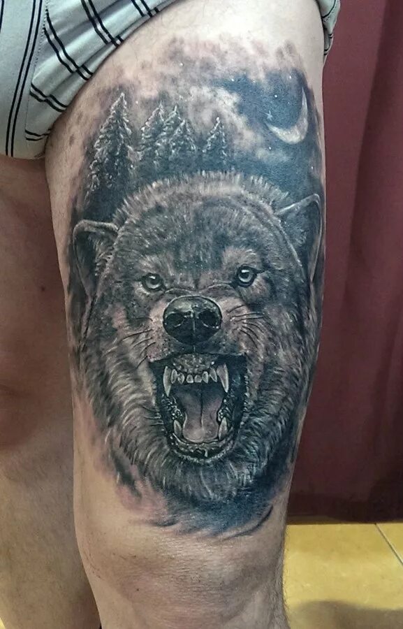 Татуировка медведь и волк. Тату волк и медведь. Тату медведь волк. Тату медведь волк. Тату медведь волк.