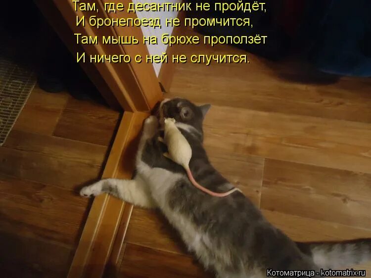 куда все пропали картинки. картун кэт тревор хендерсон. русалка в океанариуме. чудовища фильм 2009. ты там живой.