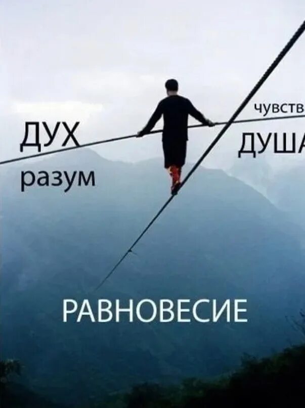 Ощущение равновесие. Равновесие жизни. Равновесие цитаты. Фразы про равновесие. Внутреннее равновесие.