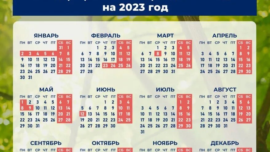 Календарь выходных. Праздничные дни в 2023. Календарь выходных 2023. Календарь выходных и праздничных дней на 2023. Какая неделя будет выходной