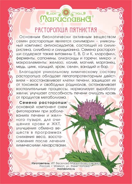 Расторопша сколько раз пить. Расторопша для печени трава семена. биологически активные вещества расторопши пятнистой. расторопша трава порошок. травяной сбор расторопши.