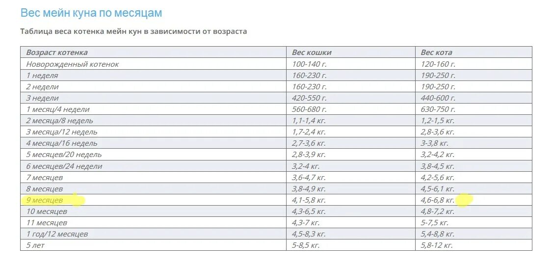 Вес котенка в 4. Таблица веса Мейн куна по возрасту. Вес Мейн куна по месяцам таблица. Вес котенка Мейн куна в 6 месяцев. Вес кошки Мейн-куна таблица.