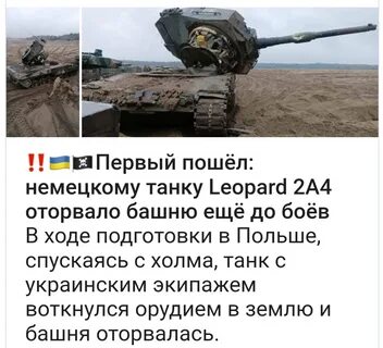 Антимышовая коалиция кота