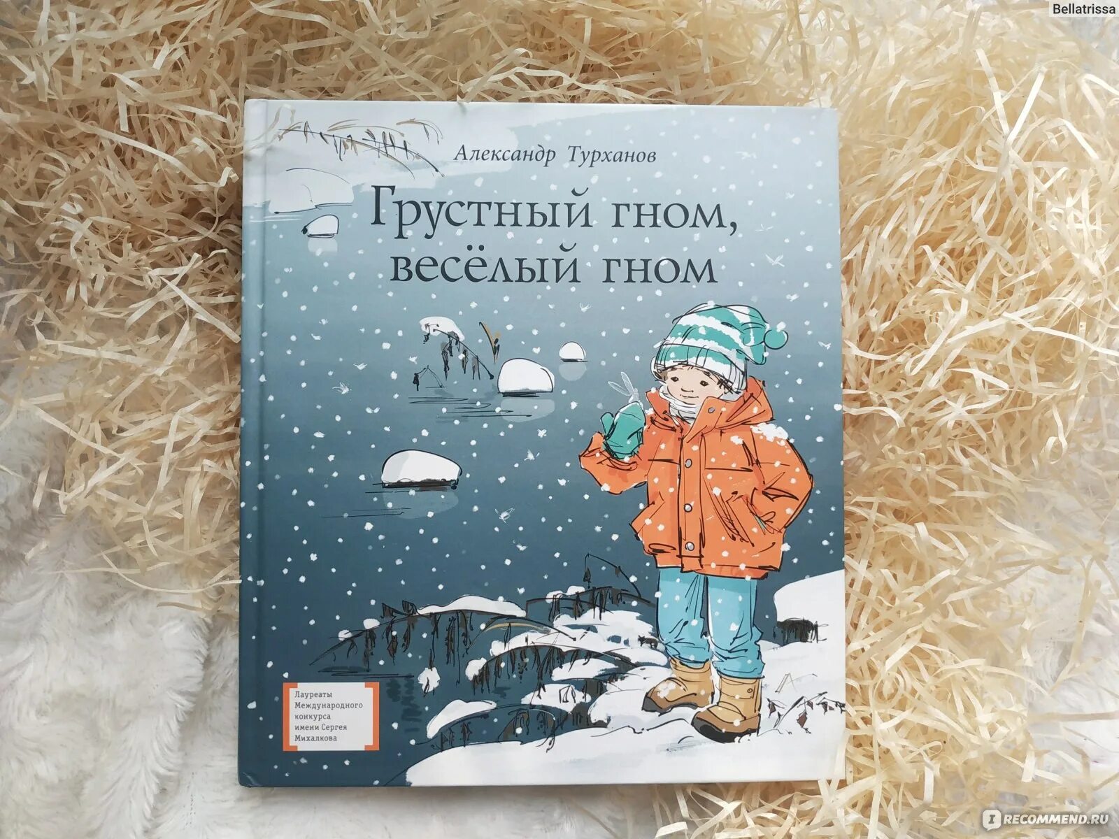 Книга грустный Гном веселый Гном. Турханов а. г. "грустный Гном, веселый Гном". Веселый гном отзывы