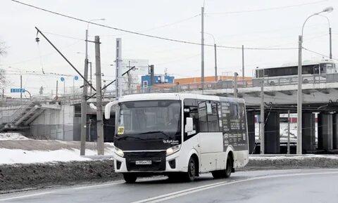 Автобус 53 спб