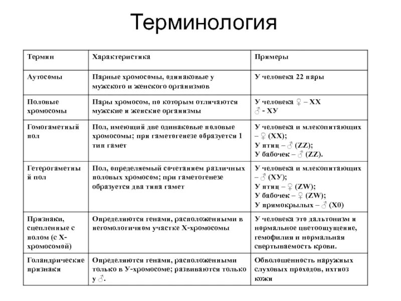 Характеристика термина. Аутосомы примеры. Хромосомное определение пола. Парные хромосомы одинаковые у мужских и женских организмов. Парные одинаковые хромосомы