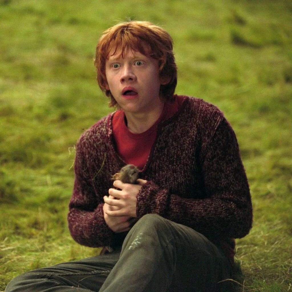 Ron weasley. Рон Уизли узник Азкабана. Рон Уизли кадры.