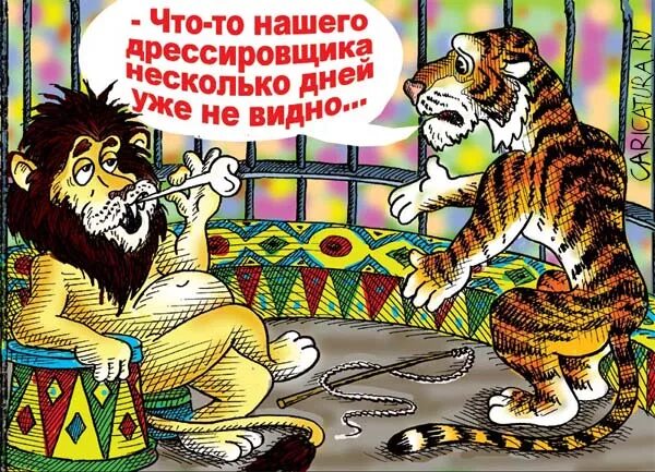 Цирк забавных. Цирк карикатура. цирк прикол. анекдоты про тигров. анекдоты про цирк смешные.