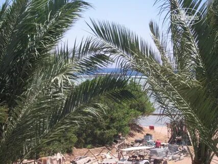 Jaz mirabel beach 5 отзывы 2024