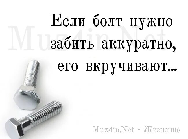 Сколько нужно забить. Забить болт. Болт прикол. Про болт высказывания. Забей болт.