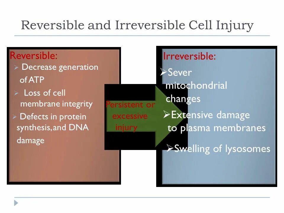 Reversed cell. Industrial injuries презентация. critical industrial injuries презентация. irreversible injury and cell death.. irreversible damage.