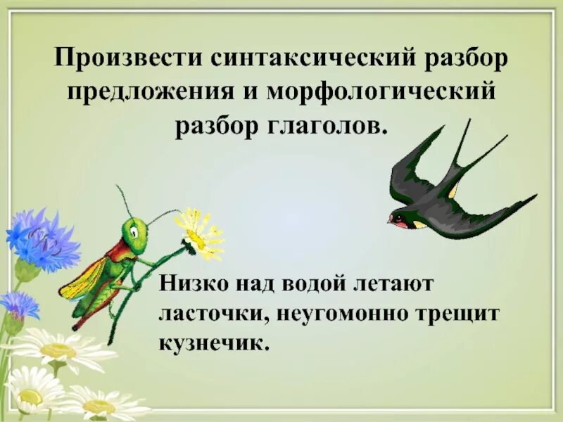 Ласточка стремительно и низко пролетает над прудами. Синтаксический и морфологический разбор предложения. Морфологический разбор и синтаксический разбор предложения. Морфологический разбор слова ласточки. Морфологический разбор Ласточка.