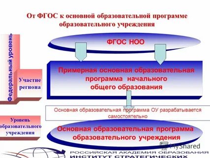 Образовательные организации по основной образовательной программе