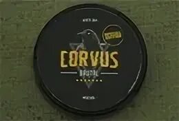 Корвус желтый. Corvus light шайба. Corvus light. Корвус желтый. Корвус желтый.