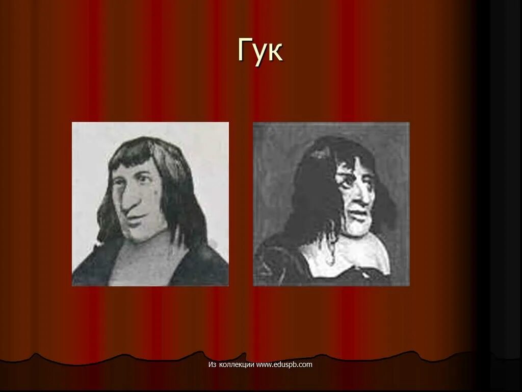 Ньютон и гук. История открытия закона всемирного тяготения. Гук закон всемирного тяготения. Роберт гук открытия в физике. Закон гука.