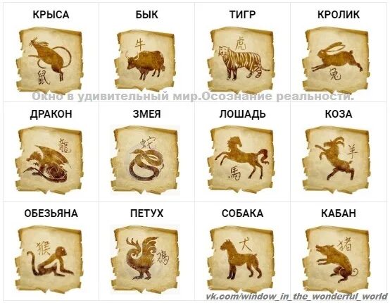 Почему крыса первая в восточном календаре Первая крыса