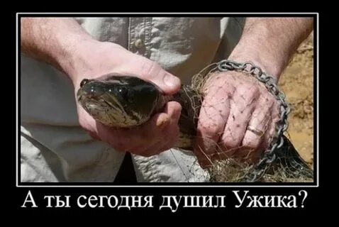Задушить змею