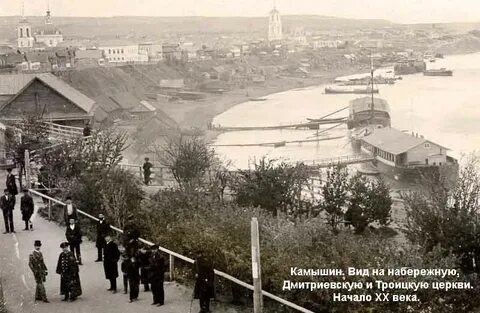 История камышинского