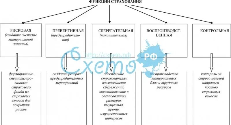 Функции страхования схема. Страхование функции страхования. Функции страхования таблица. Характеристика функций страхования. Страховое дело функции