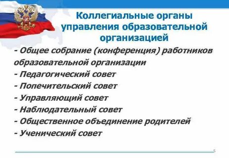 Коллегиальные органы управления образовательной организацией